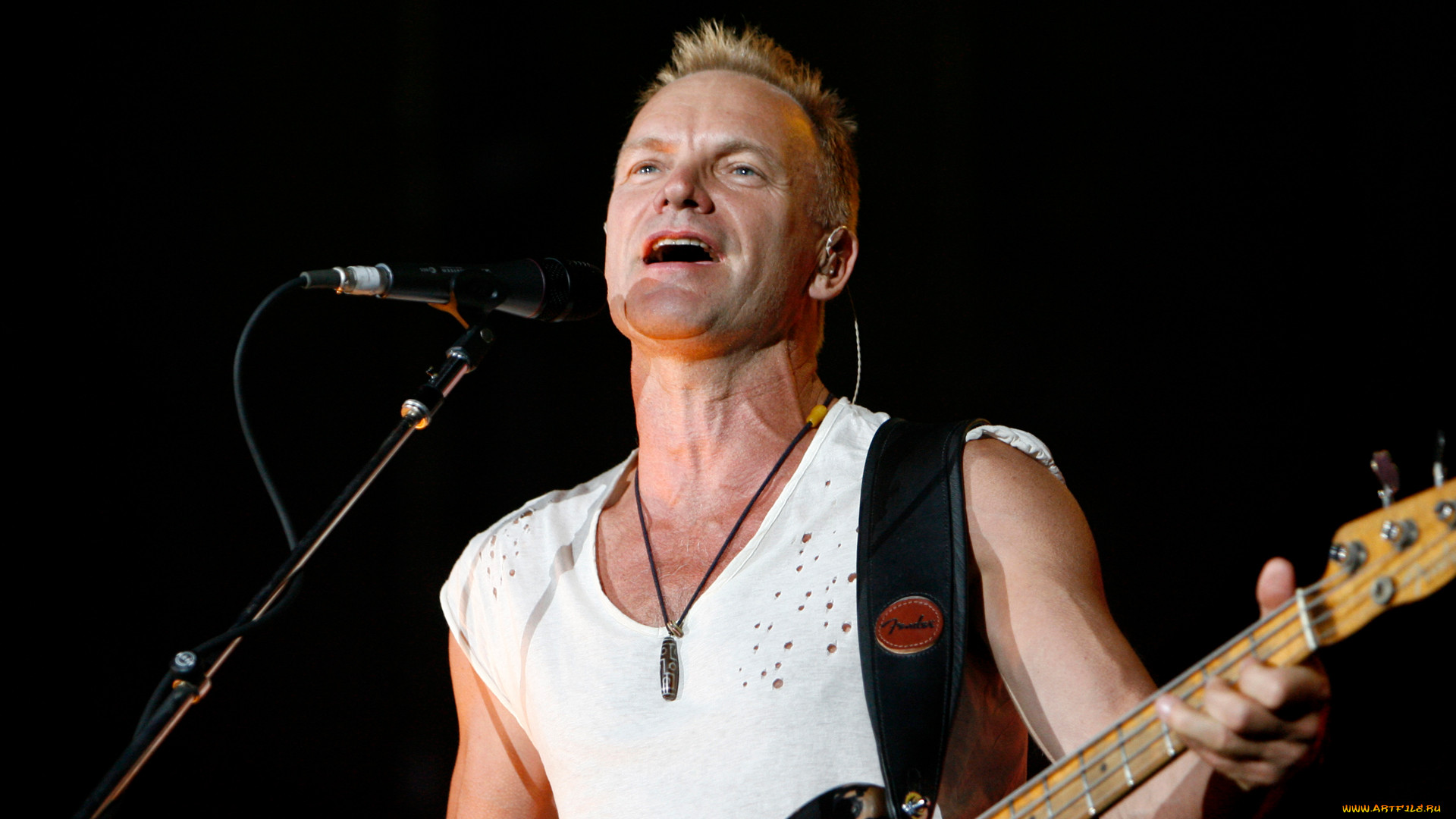 sting, 